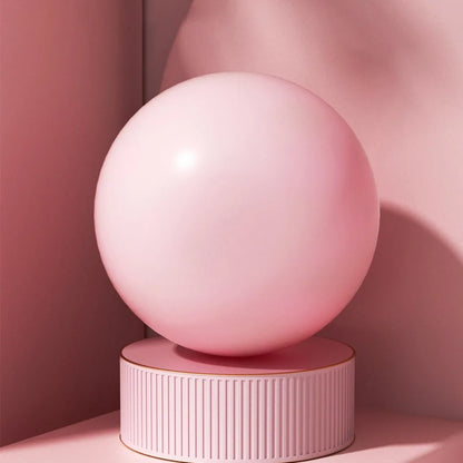 Anti-Burst Pilates & Fitness Exercise Ball